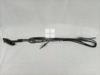 Picture of Suzuki Mehran Radio Antenna