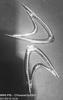 Picture of Universal Air Flow(2pcs)