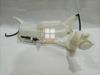 Picture of Daihatsu Cast 2018 Shower Bottle Complete with Motor
