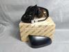 Picture of Toyota Fortuner 2021-23 Side Mirror