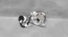 Picture of Mg Hs 2019-2024 Clutch Bearing
