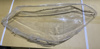 Picture of Toyota Vitz 2012-13 Headlight Glass (Cover)
