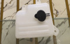 Picture of Changan Alsvin 2021-24 Radiator Bottle