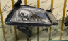 Picture of MG ZS 2020-2025 Front Bumper Fog Lamp